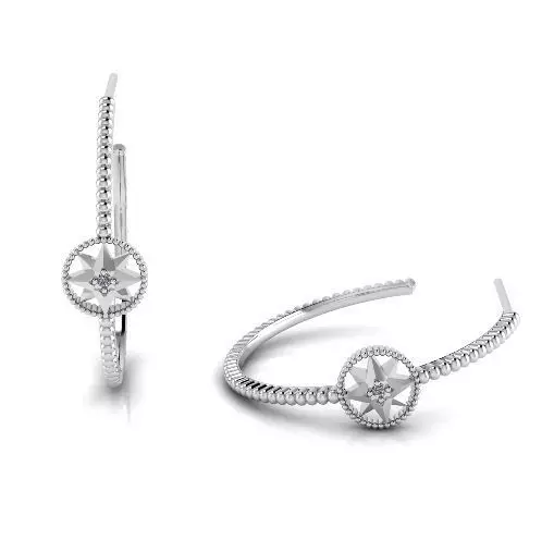 Rose des vents Earrings Model 3413 3D print model_0