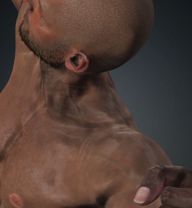 GEORGE - Realistic Rigged Body Builder Game Ready  Low-poly 3D model_16