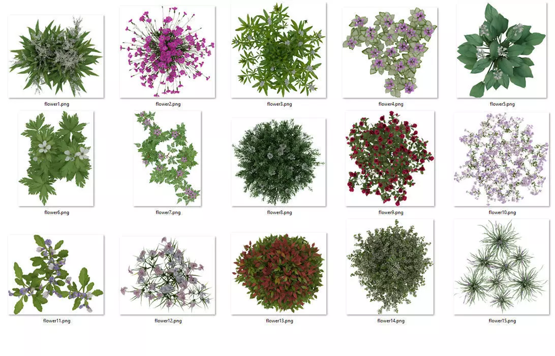 2D Flowers TopViews Collection 15 Layers PNG PSD PDF Texture_0