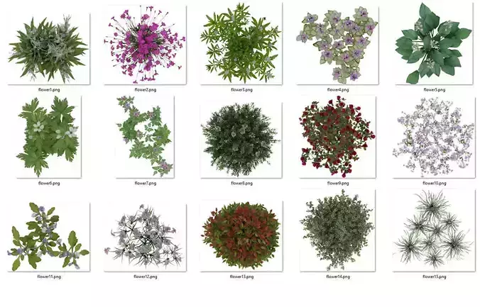 2D Flowers TopViews Collection 15 Layers PNG PSD PDF Texture