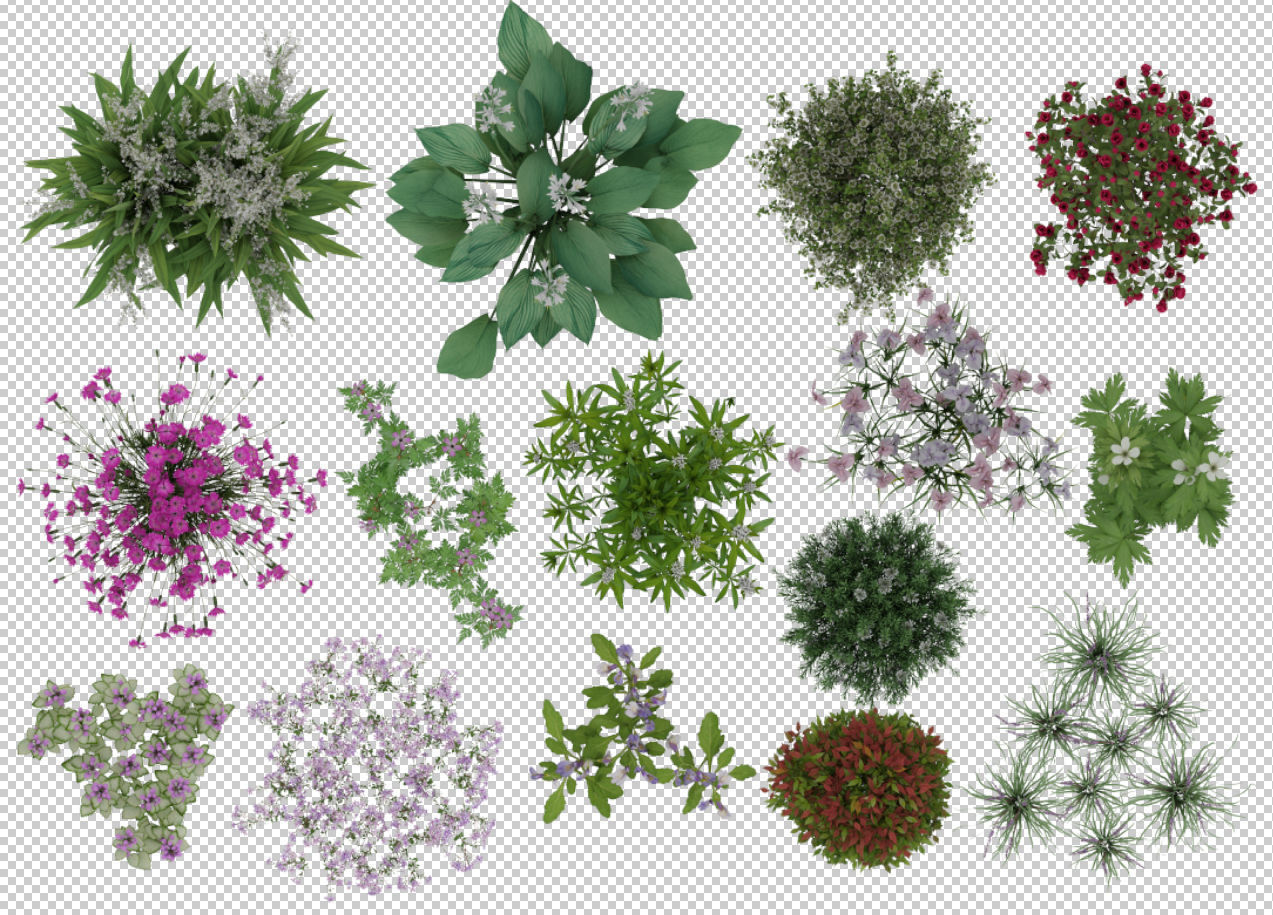 2D Flowers TopViews Collection 15 Layers PNG PSD PDF Texture_1