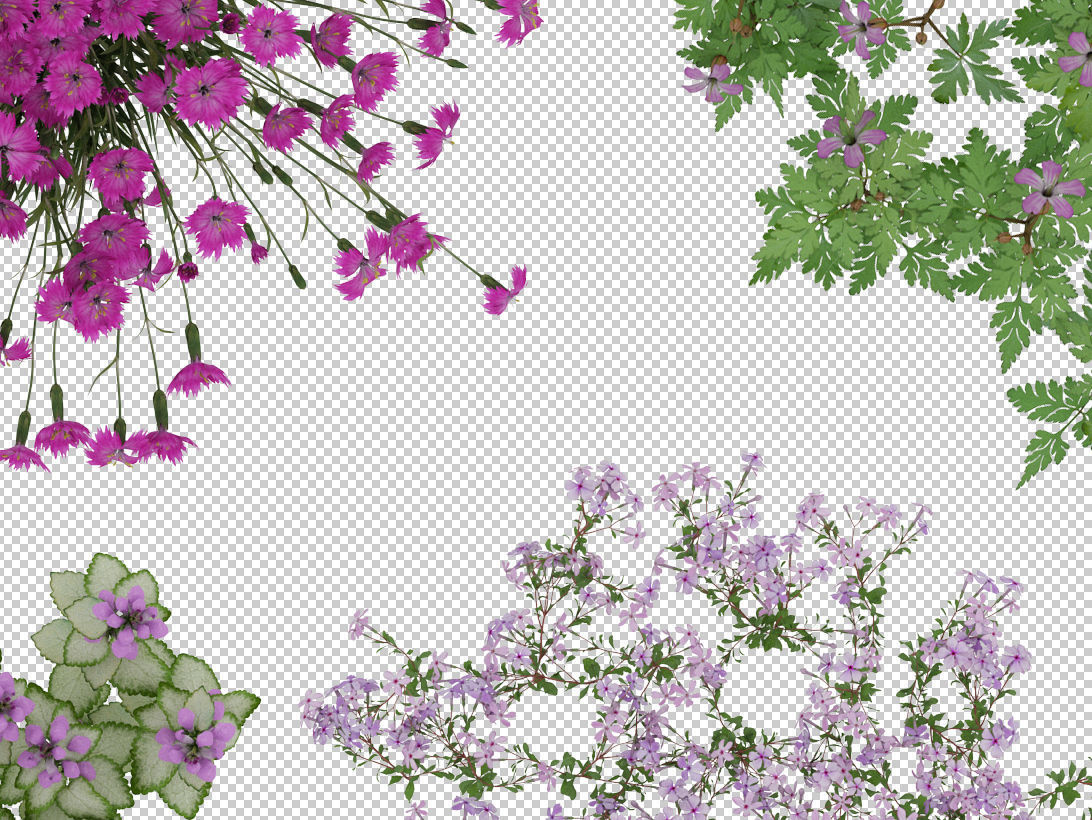 2D Flowers TopViews Collection 15 Layers PNG PSD PDF Texture_4