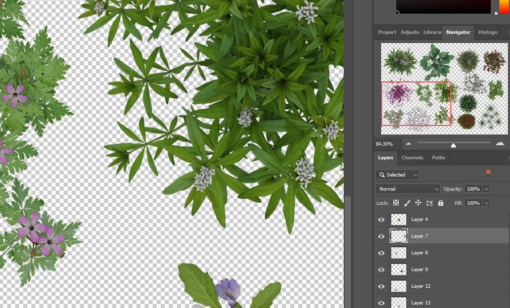 2D Flowers TopViews Collection 15 Layers PNG PSD PDF Texture_3