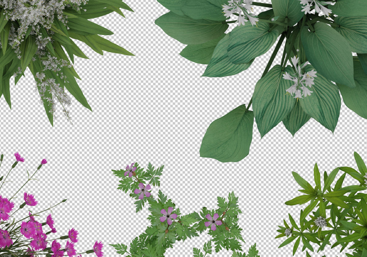 2D Flowers TopViews Collection 15 Layers PNG PSD PDF Texture_2