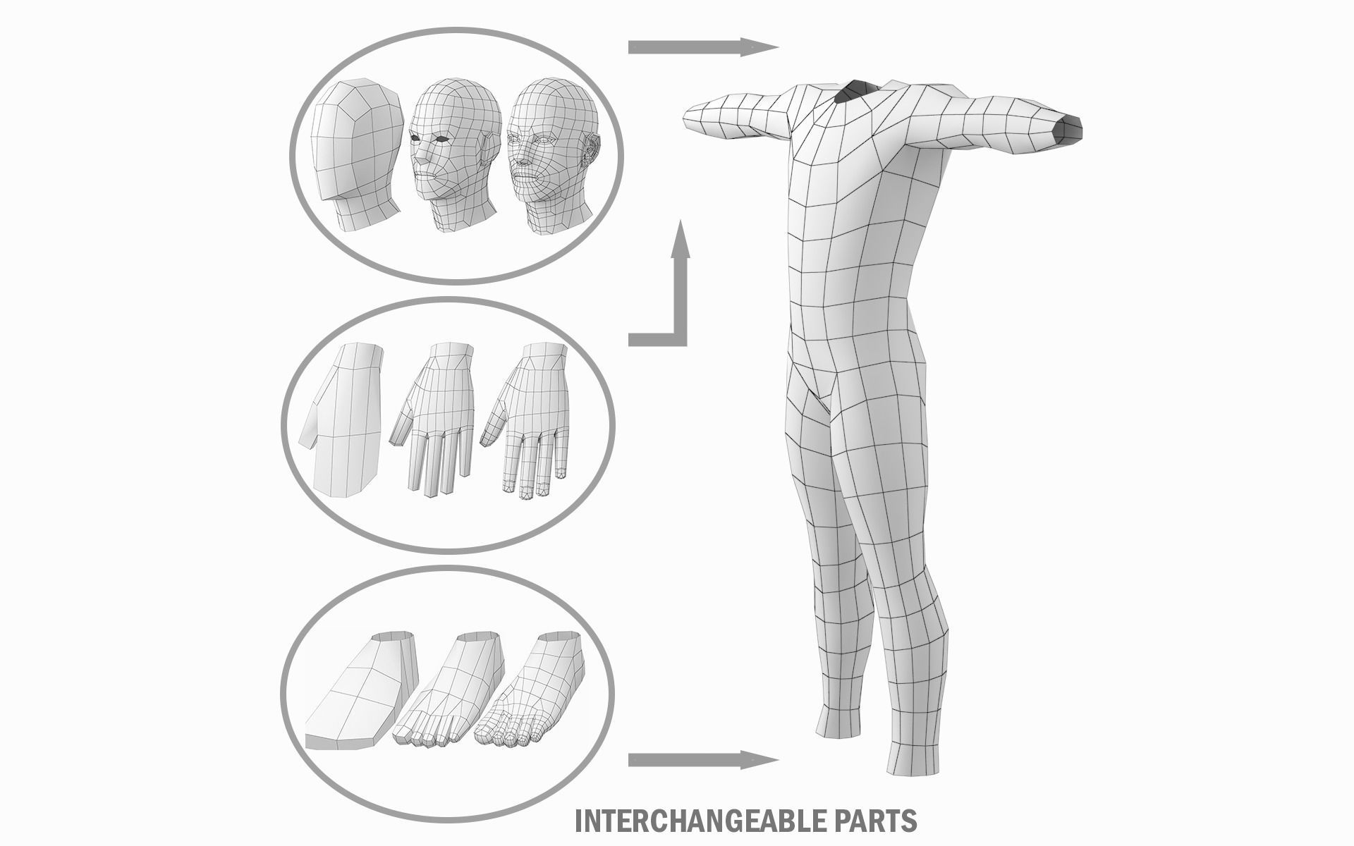 Natural Female and Male in T-Pose Base Mesh BUNDLE 3D model_20