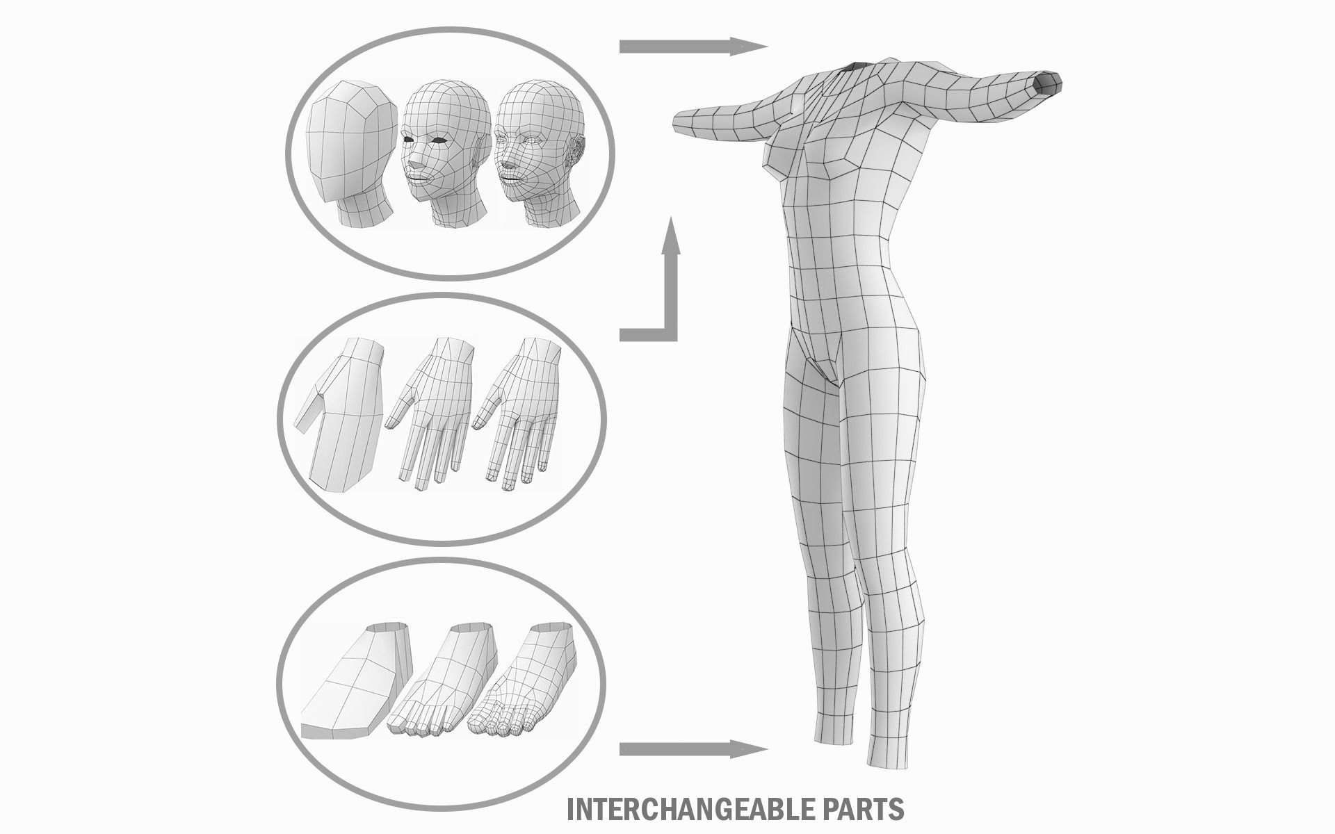 Natural Female and Male in T-Pose Base Mesh BUNDLE 3D model_19