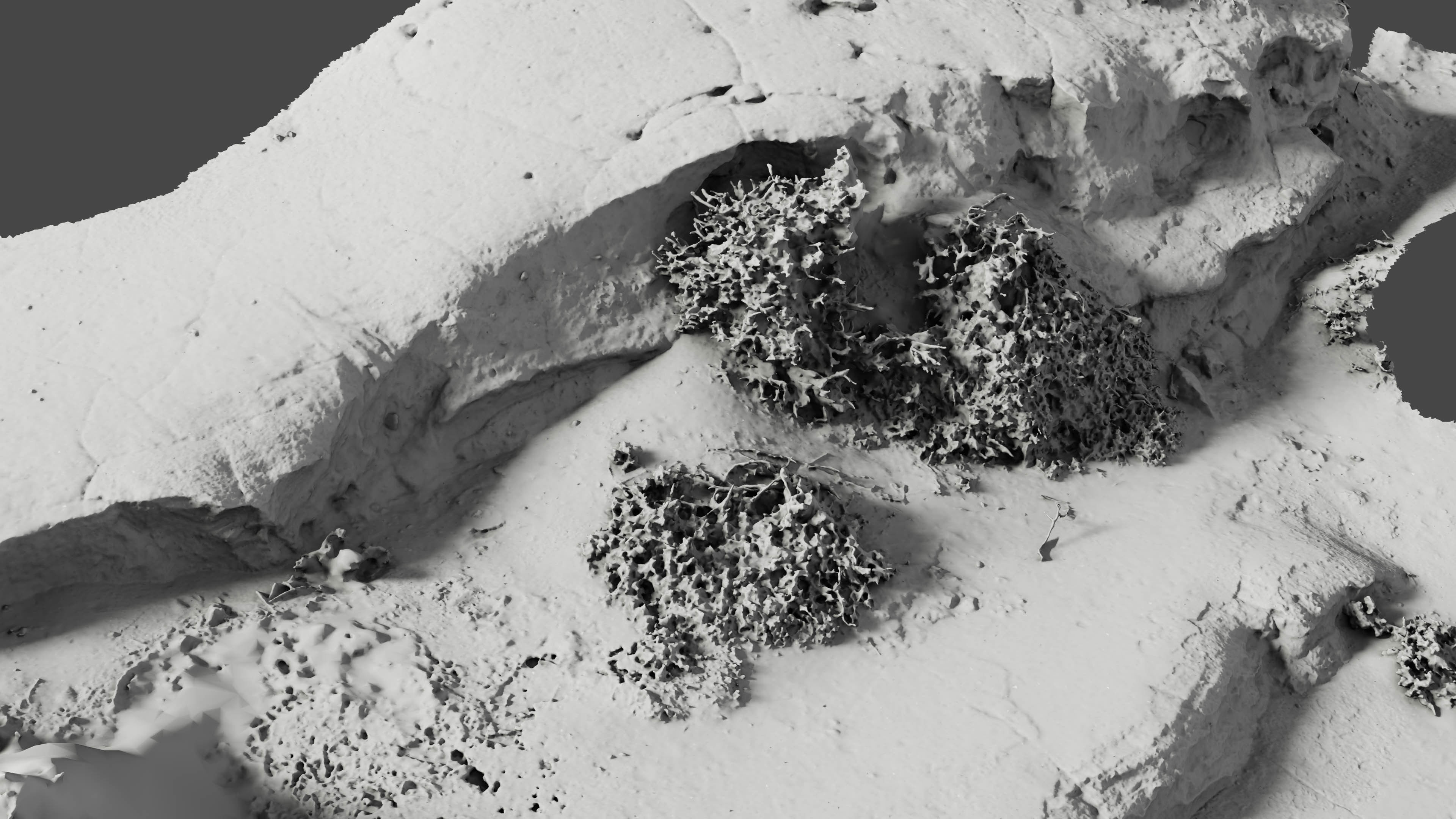 sandcliff05 3D model_18