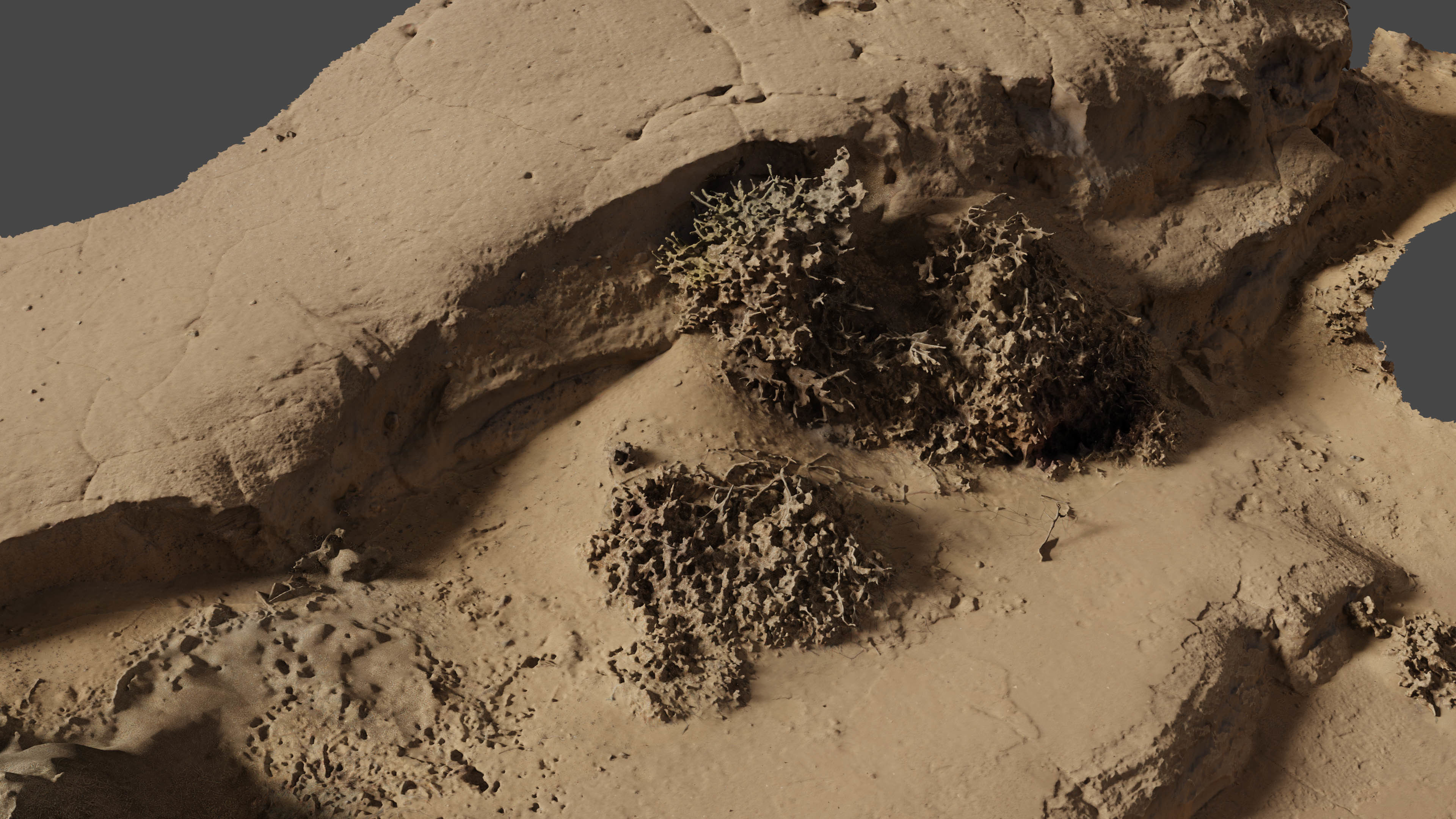 sandcliff05 3D model_16