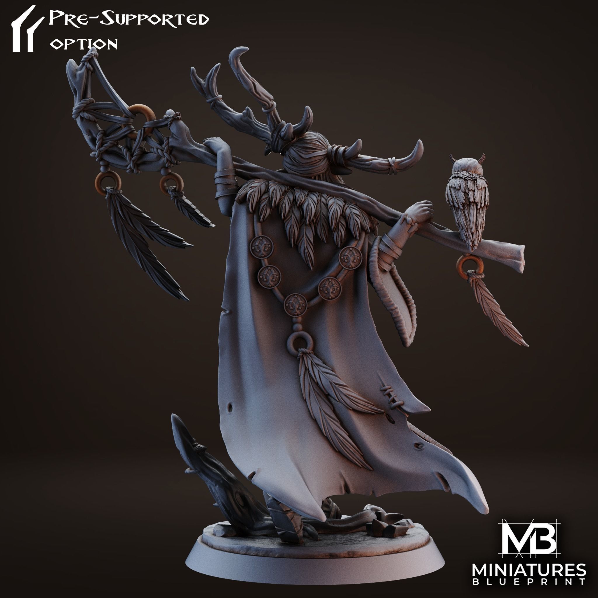 Drelia Elf Druid 3D print model_2