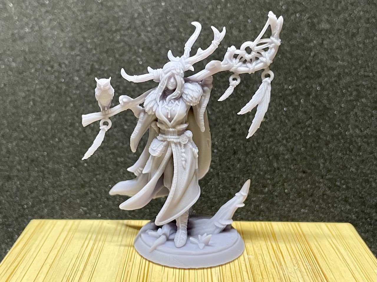 Drelia Elf Druid 3D print model_3