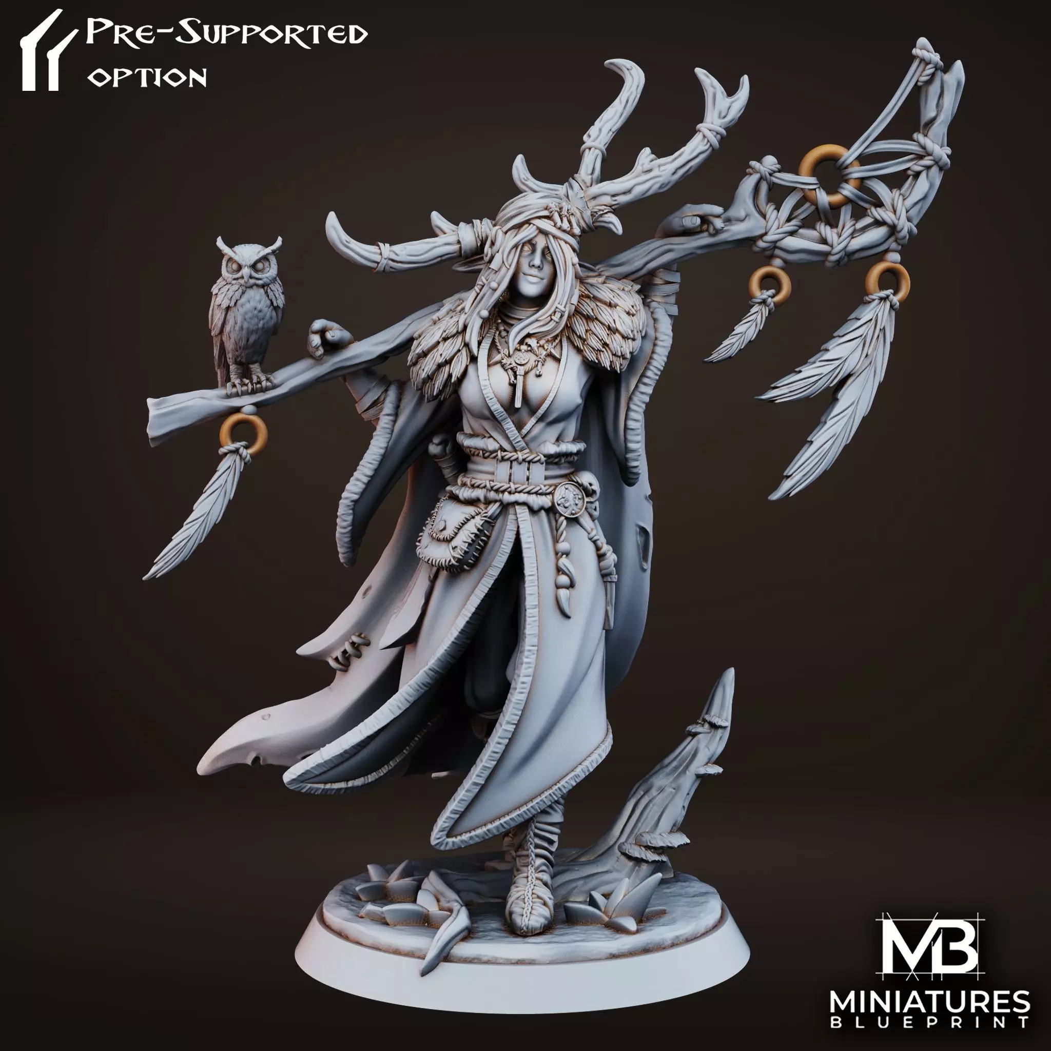 Drelia Elf Druid 3D print model_0
