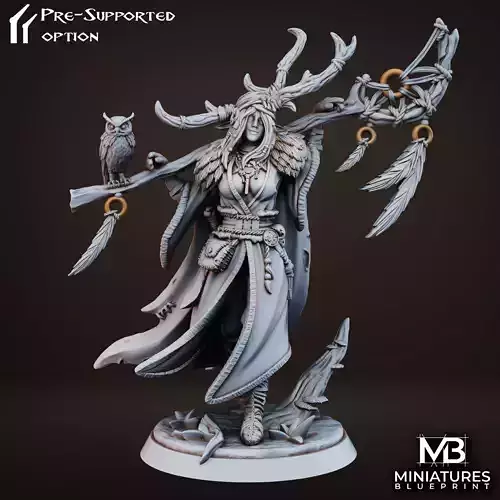 Drelia Elf Druid 3D print model