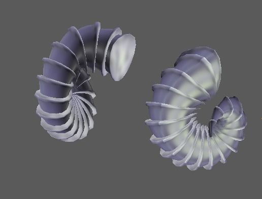 12 Ram horns 3D model_19