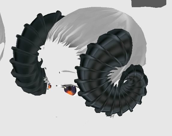 12 Ram horns 3D model_24