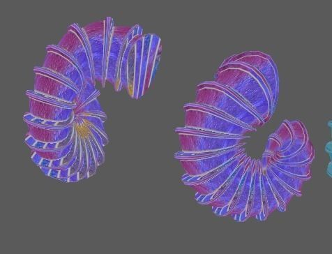 12 Ram horns 3D model_21