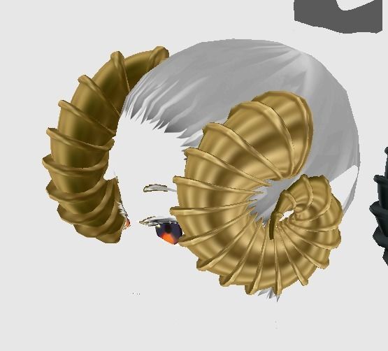 12 Ram horns 3D model_23