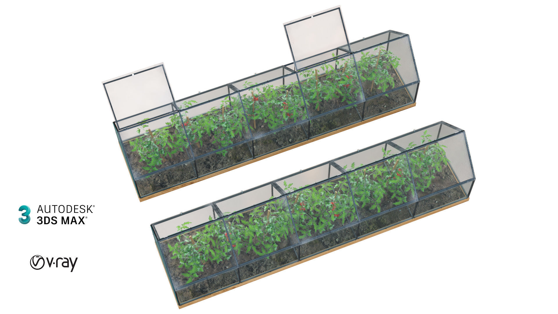 Greenhouse  3D model_2