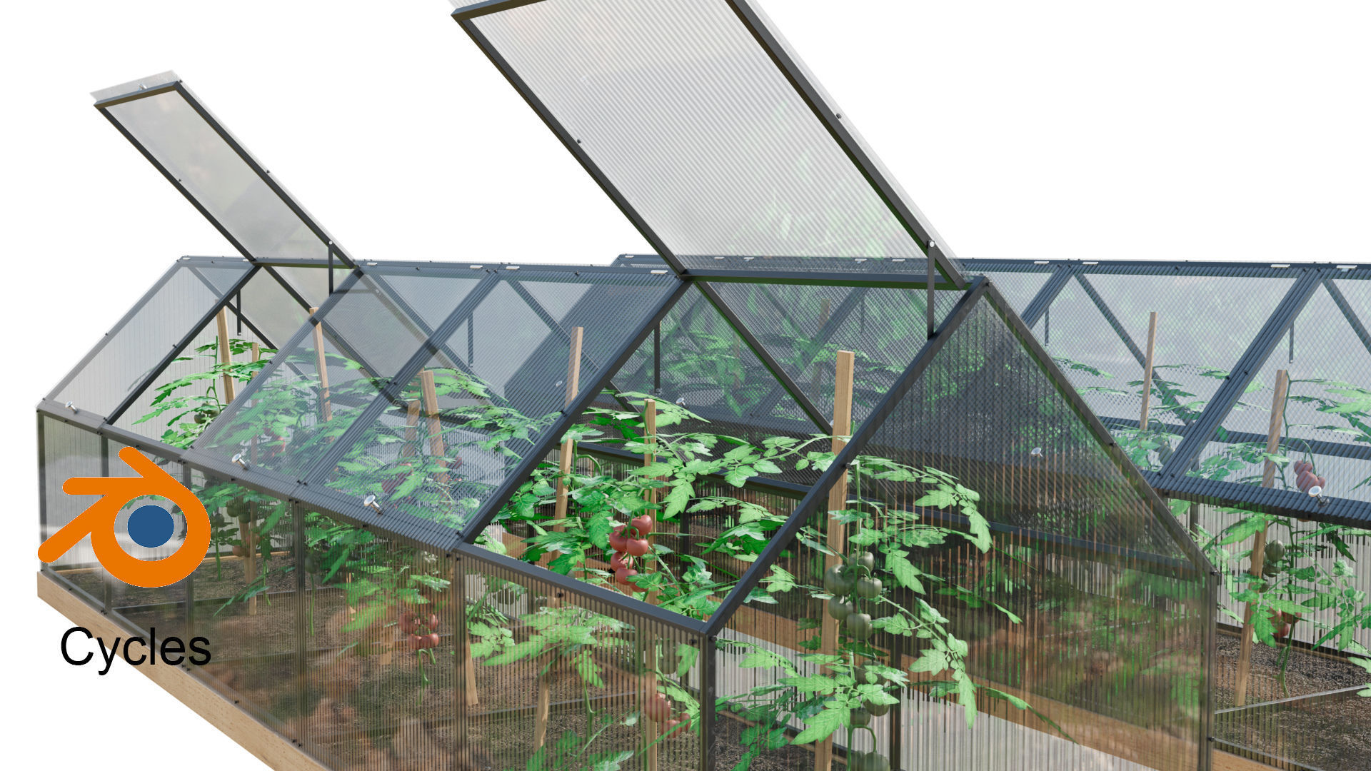 Greenhouse  3D model_7