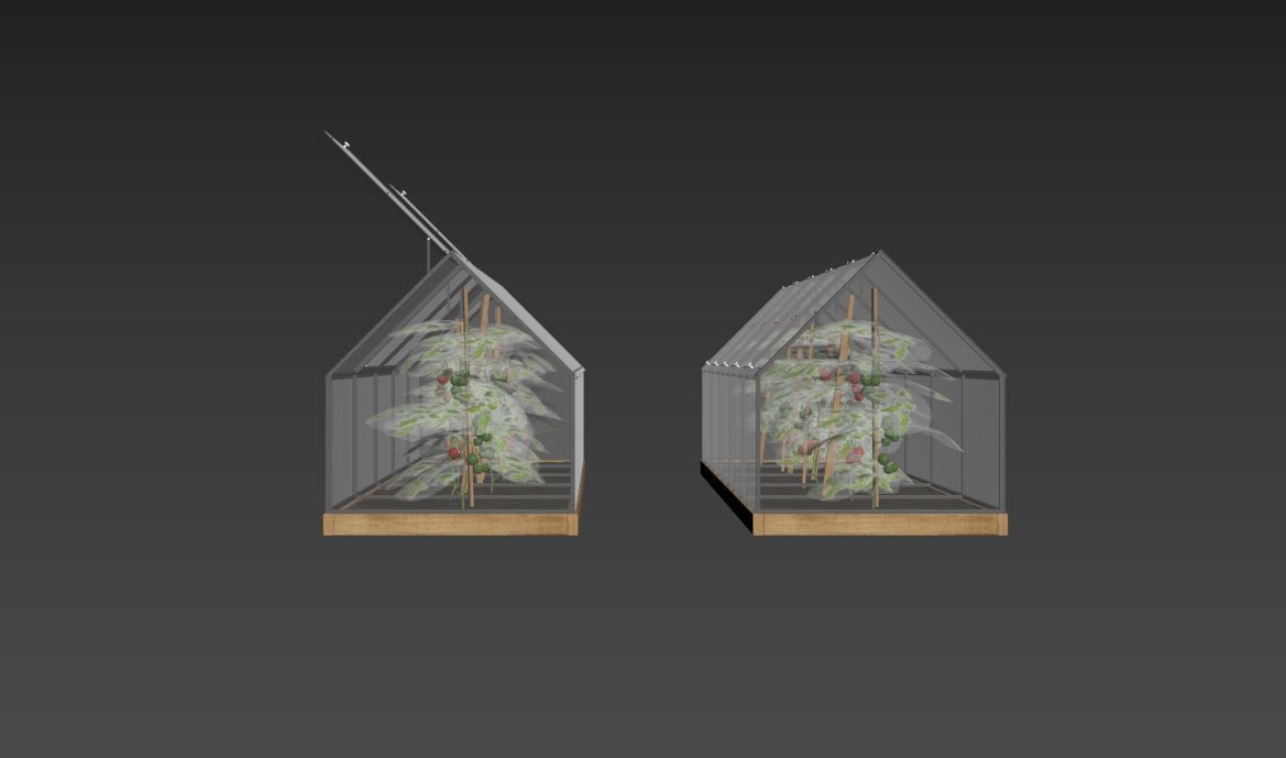 Greenhouse  3D model_11