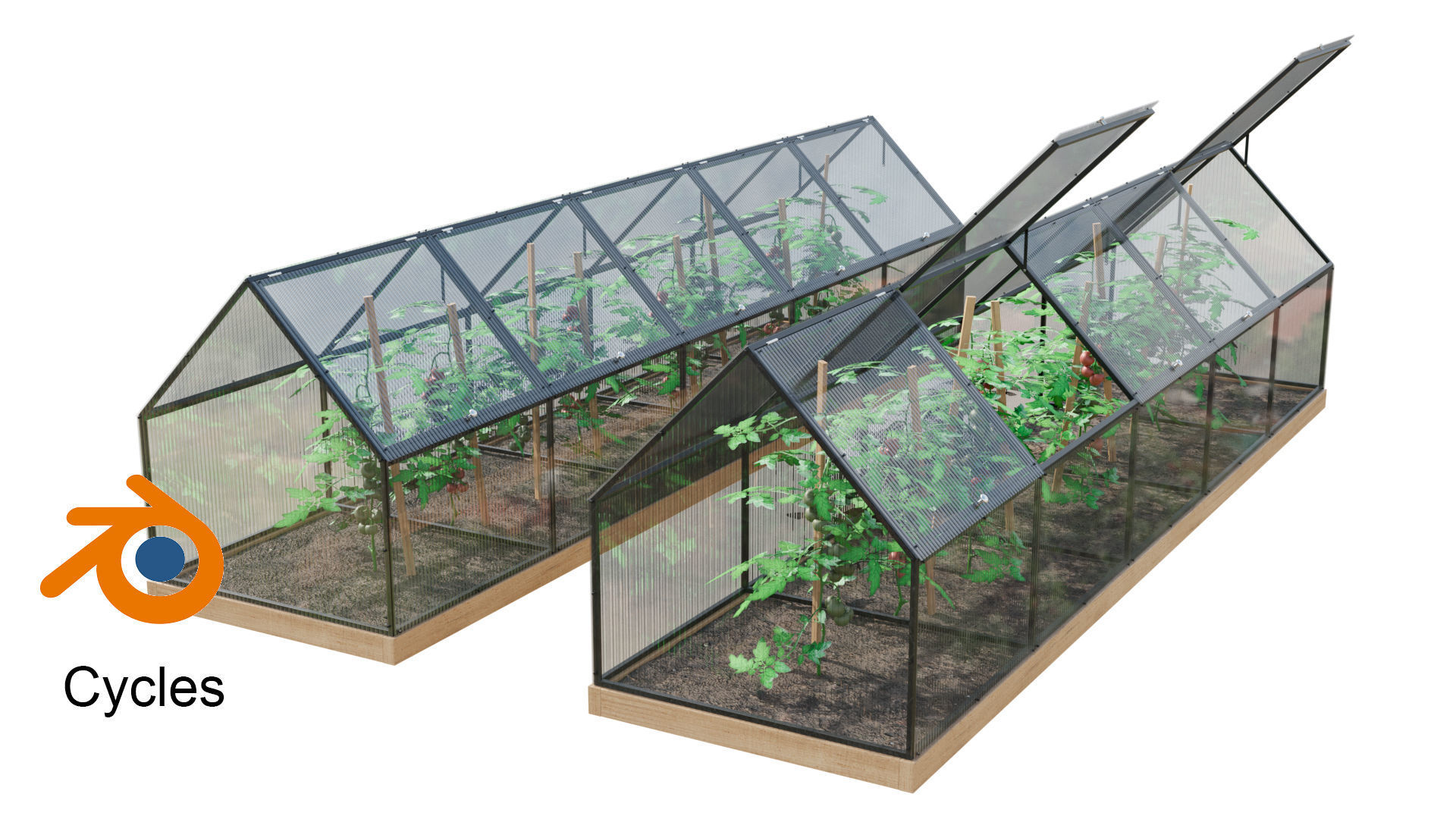 Greenhouse  3D model_4