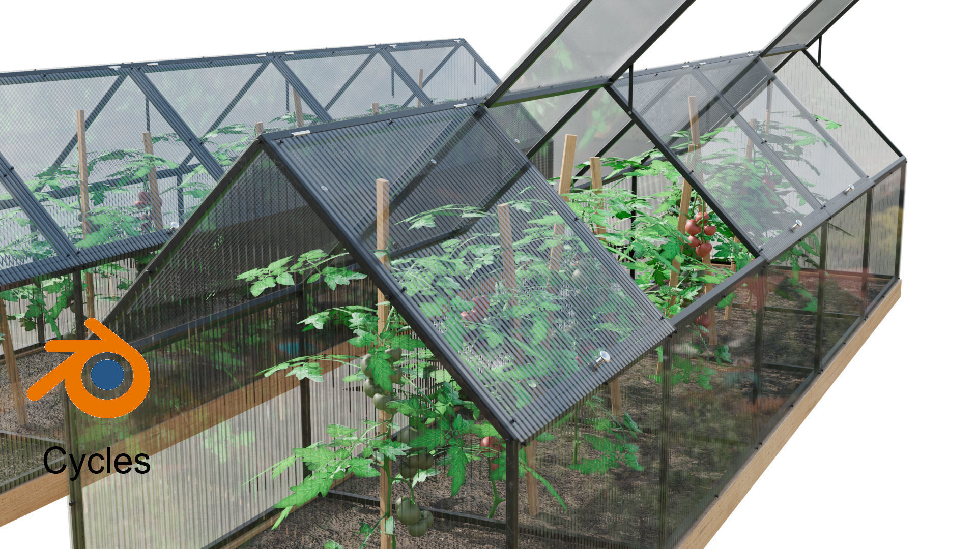 Greenhouse  3D model_5