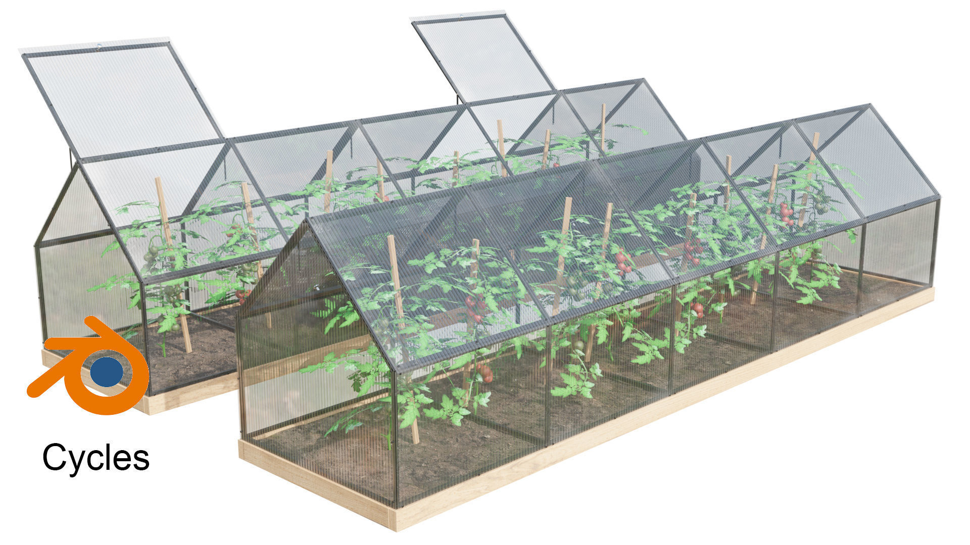 Greenhouse  3D model_8
