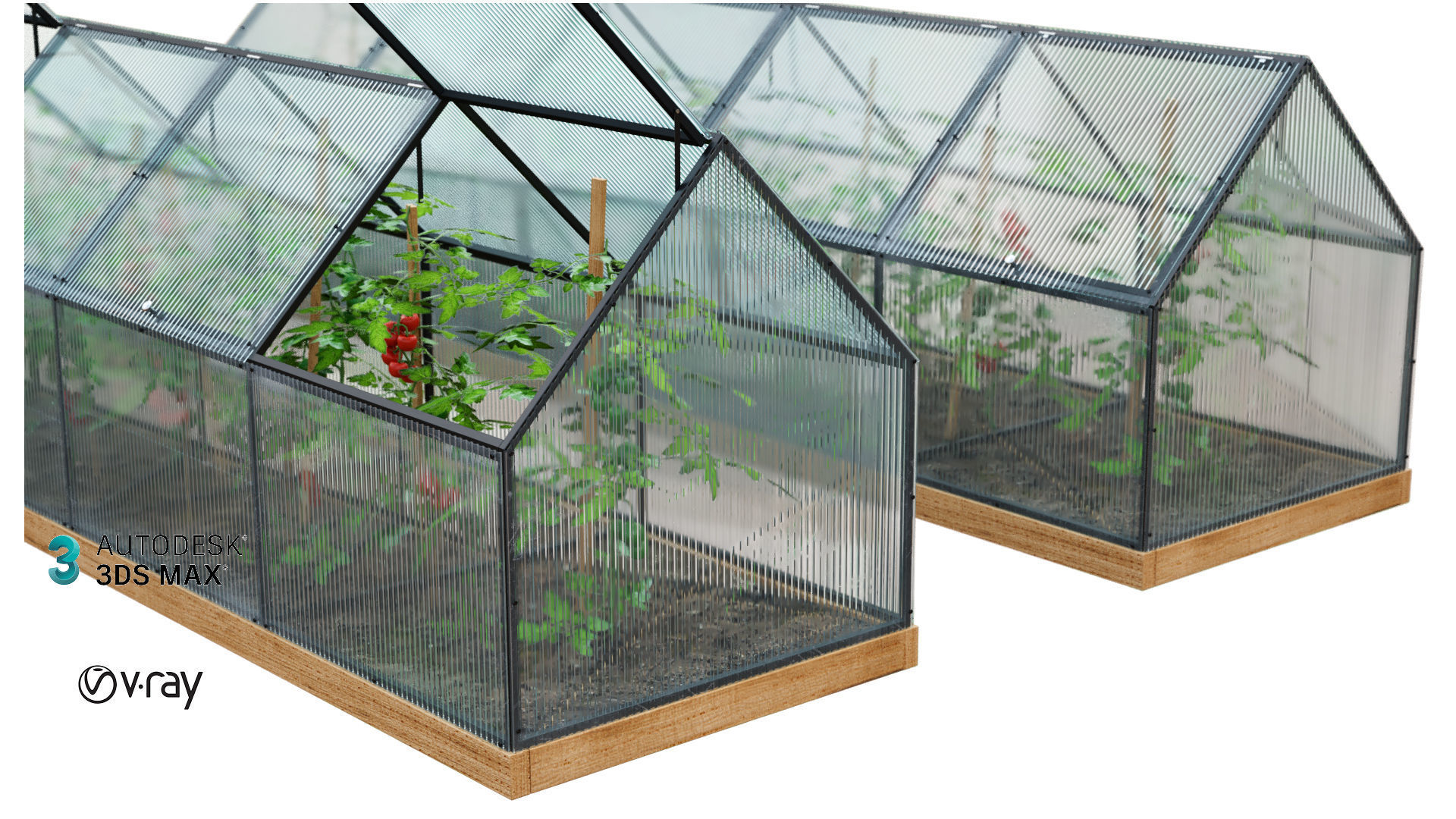 Greenhouse  3D model_3