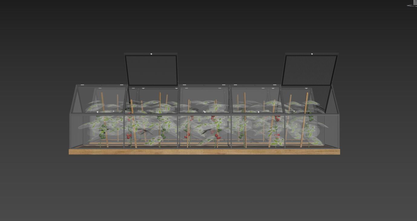 Greenhouse  3D model_13