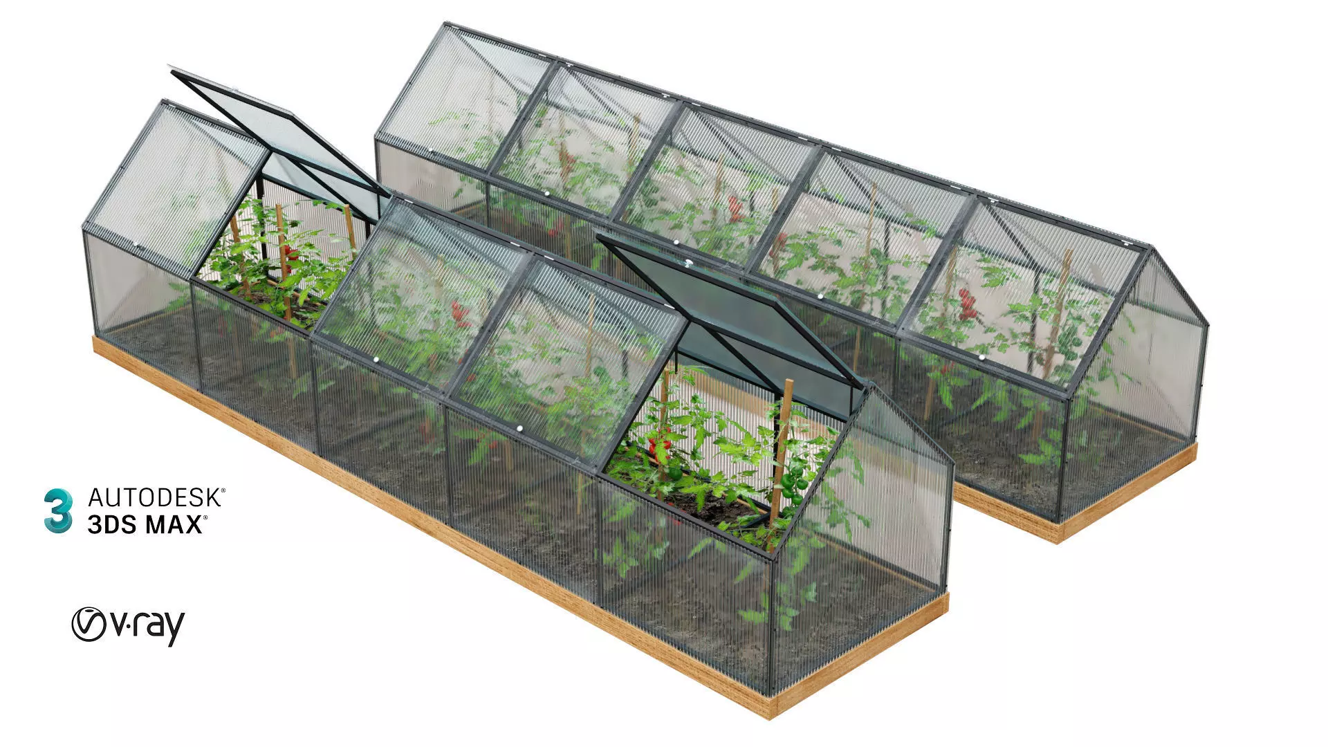 Greenhouse  3D model_0