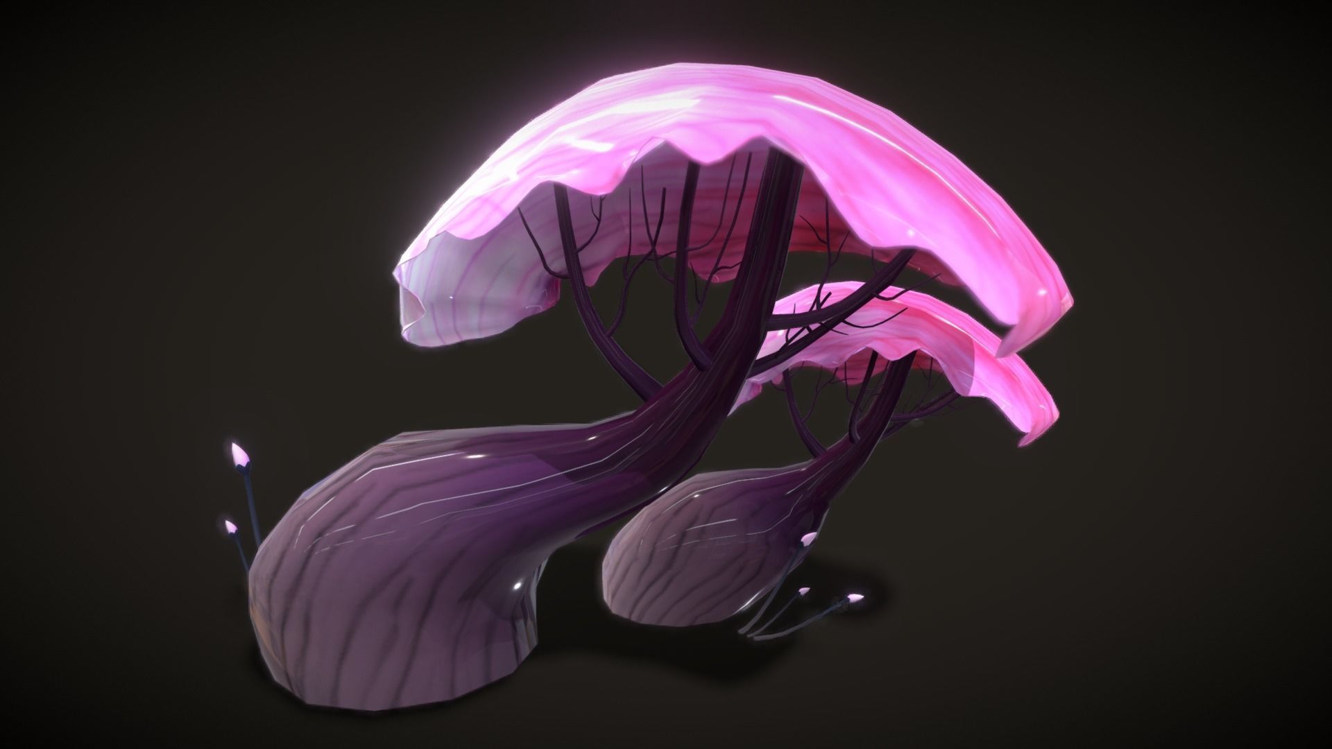 Cartoon Seaweed5 Low-poly 3D model_22