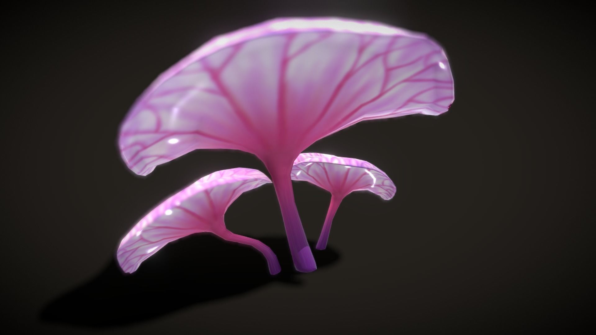 Cartoon Seaweed5 Low-poly 3D model_23