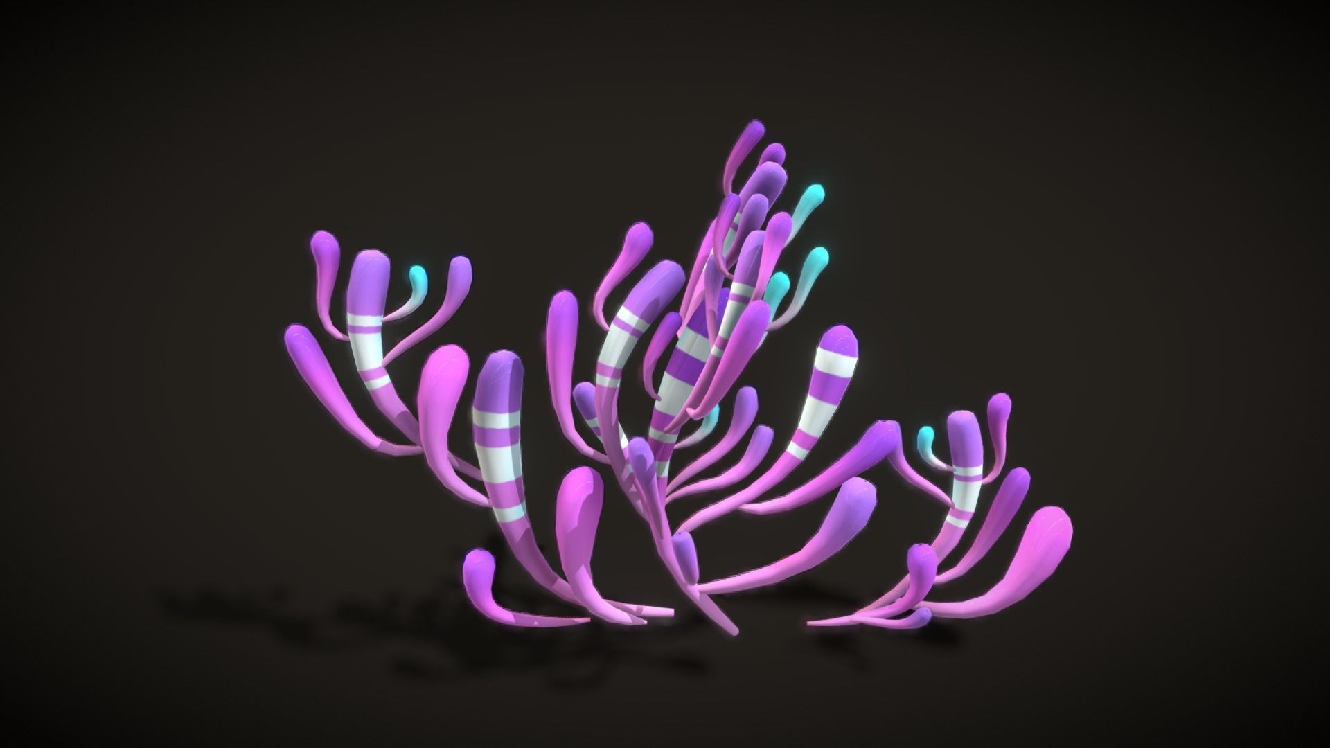 Cartoon Seaweed5 Low-poly 3D model_11
