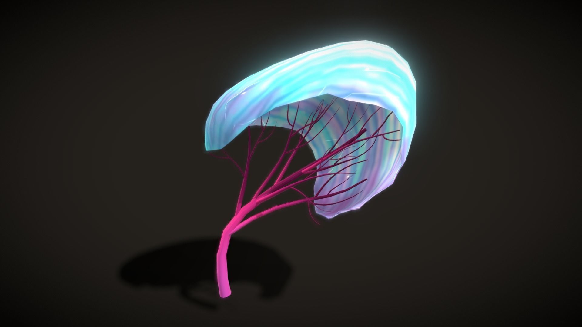 Cartoon Seaweed5 Low-poly 3D model_9