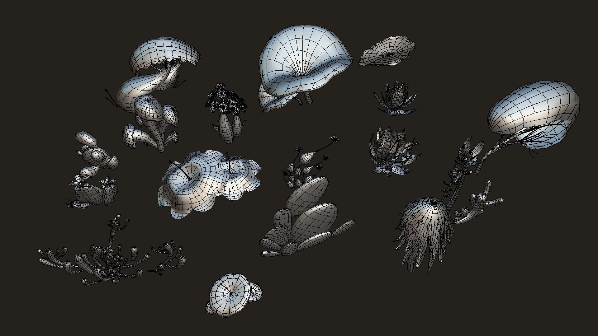 Cartoon Seaweed5 Low-poly 3D model_19