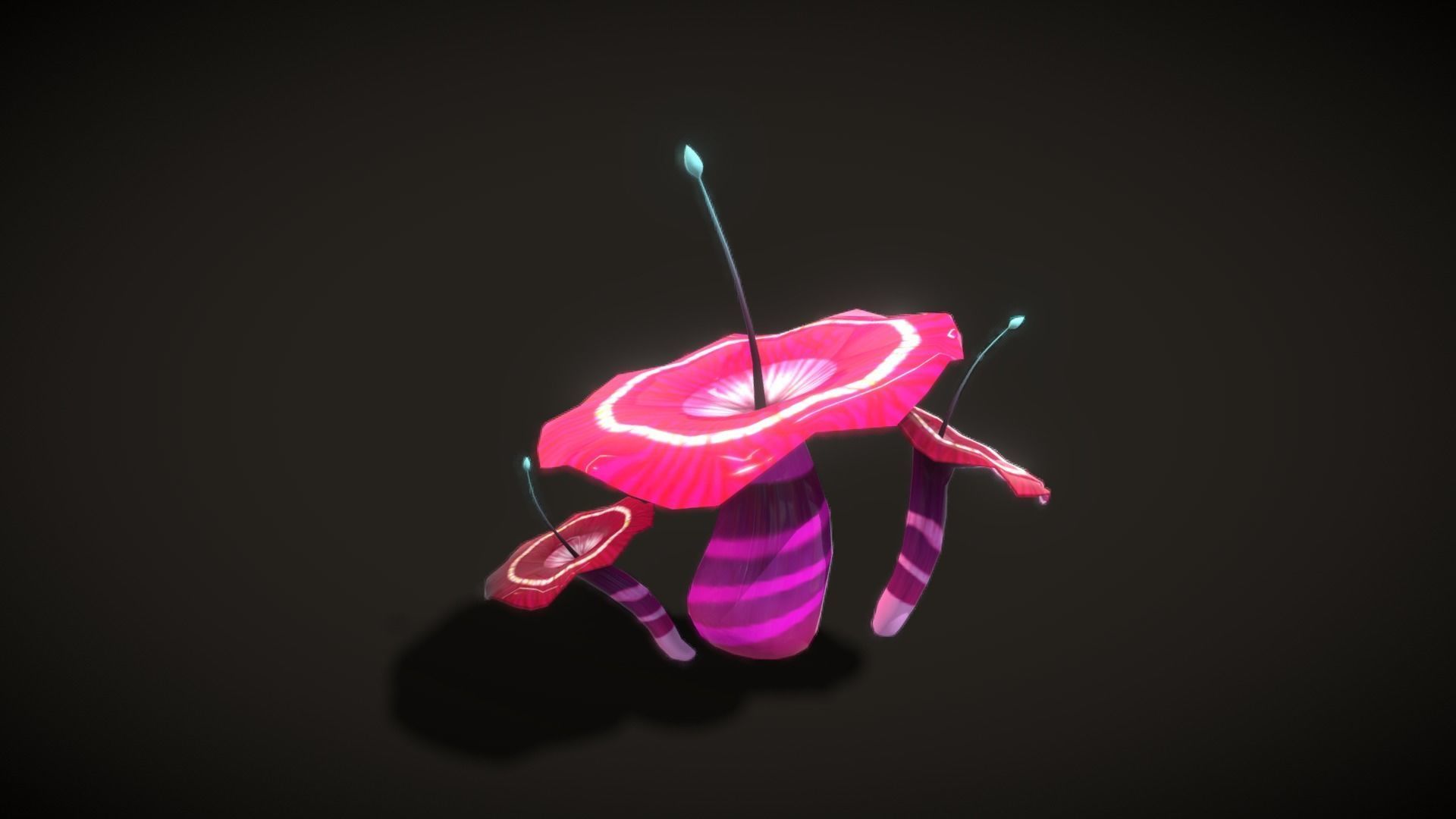 Cartoon Seaweed5 Low-poly 3D model_13