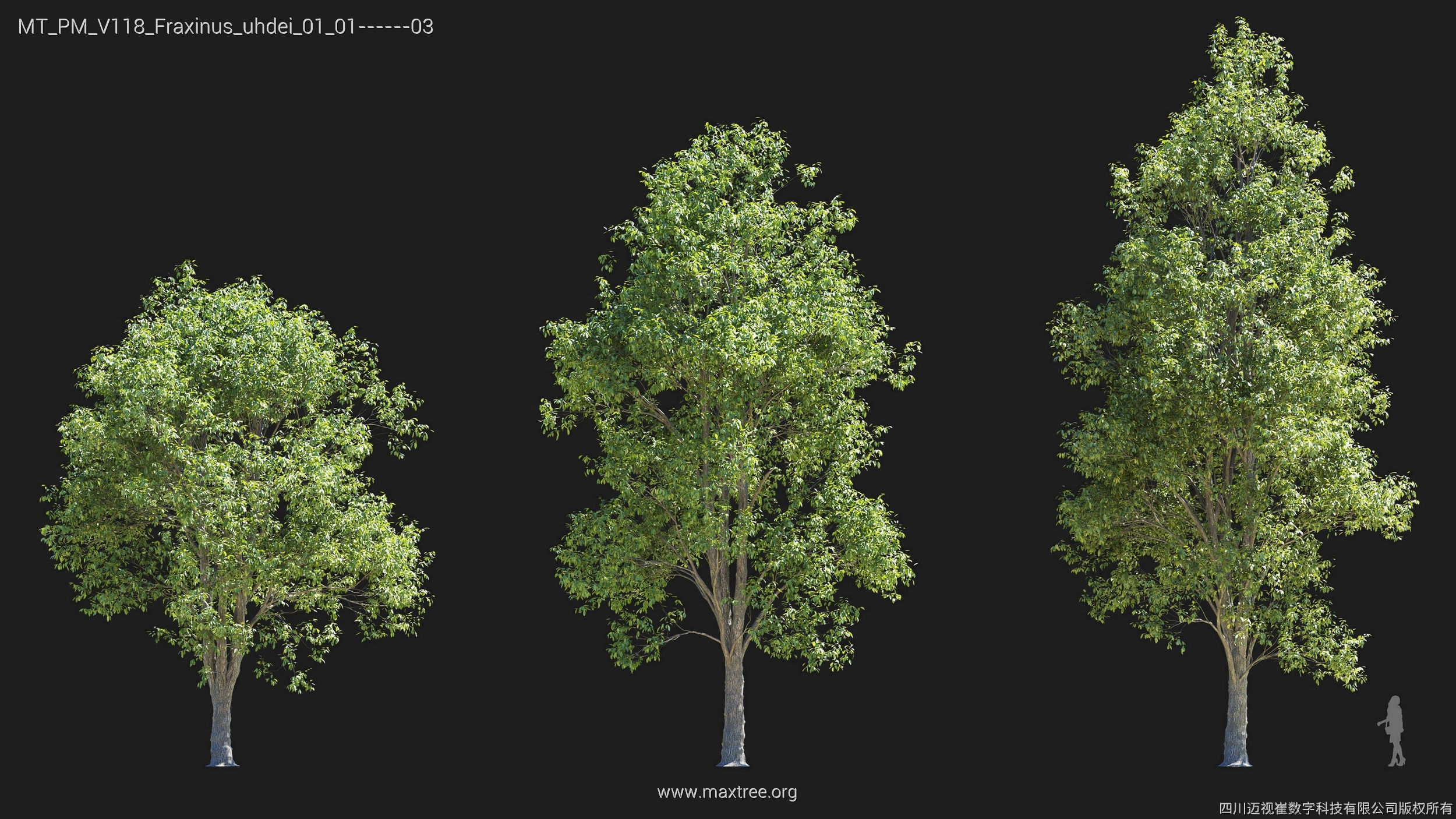 Maxtree Plant Models Vol 118 - Mesh 3D model_15