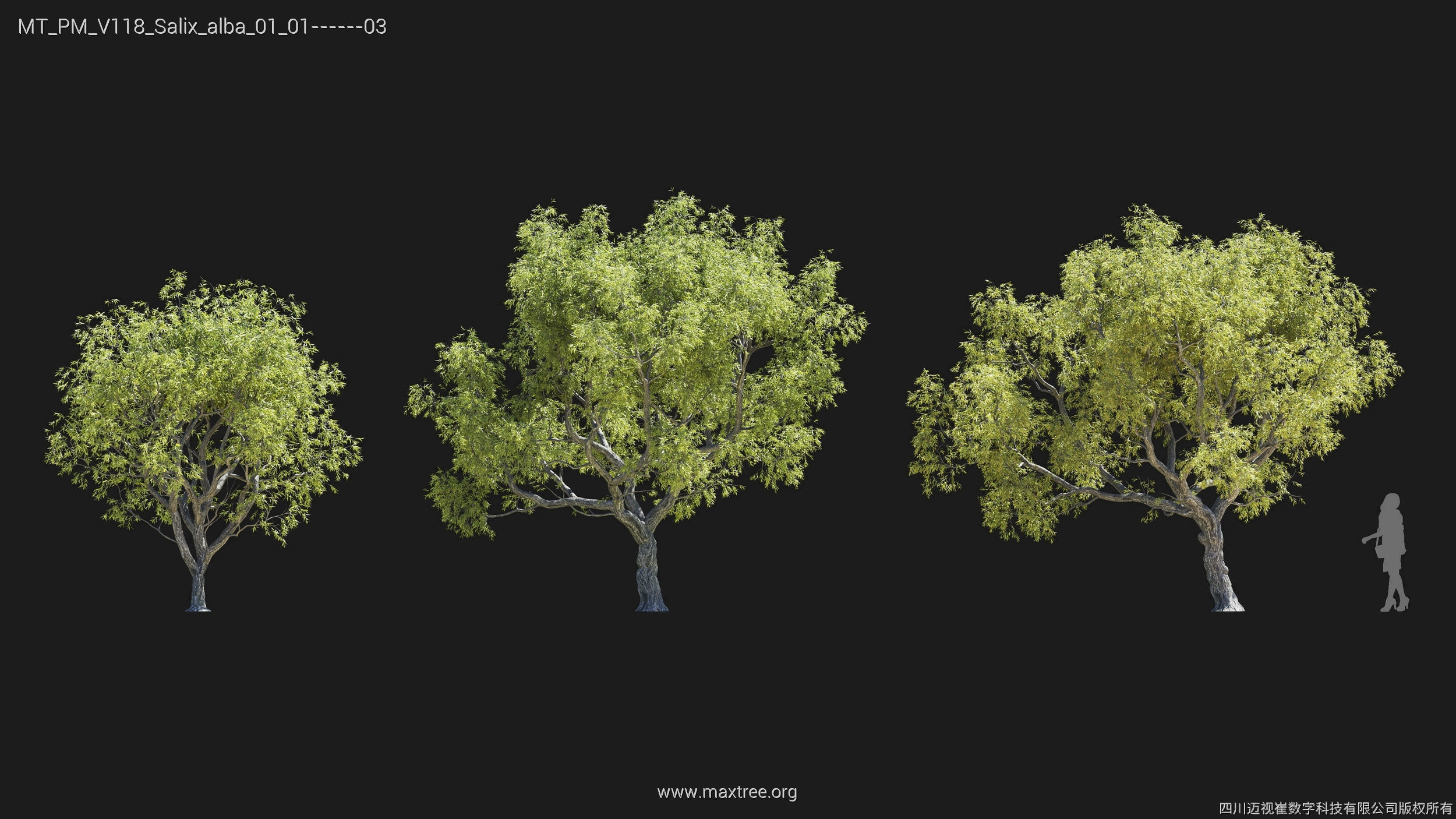 Maxtree Plant Models Vol 118 - Mesh 3D model_27