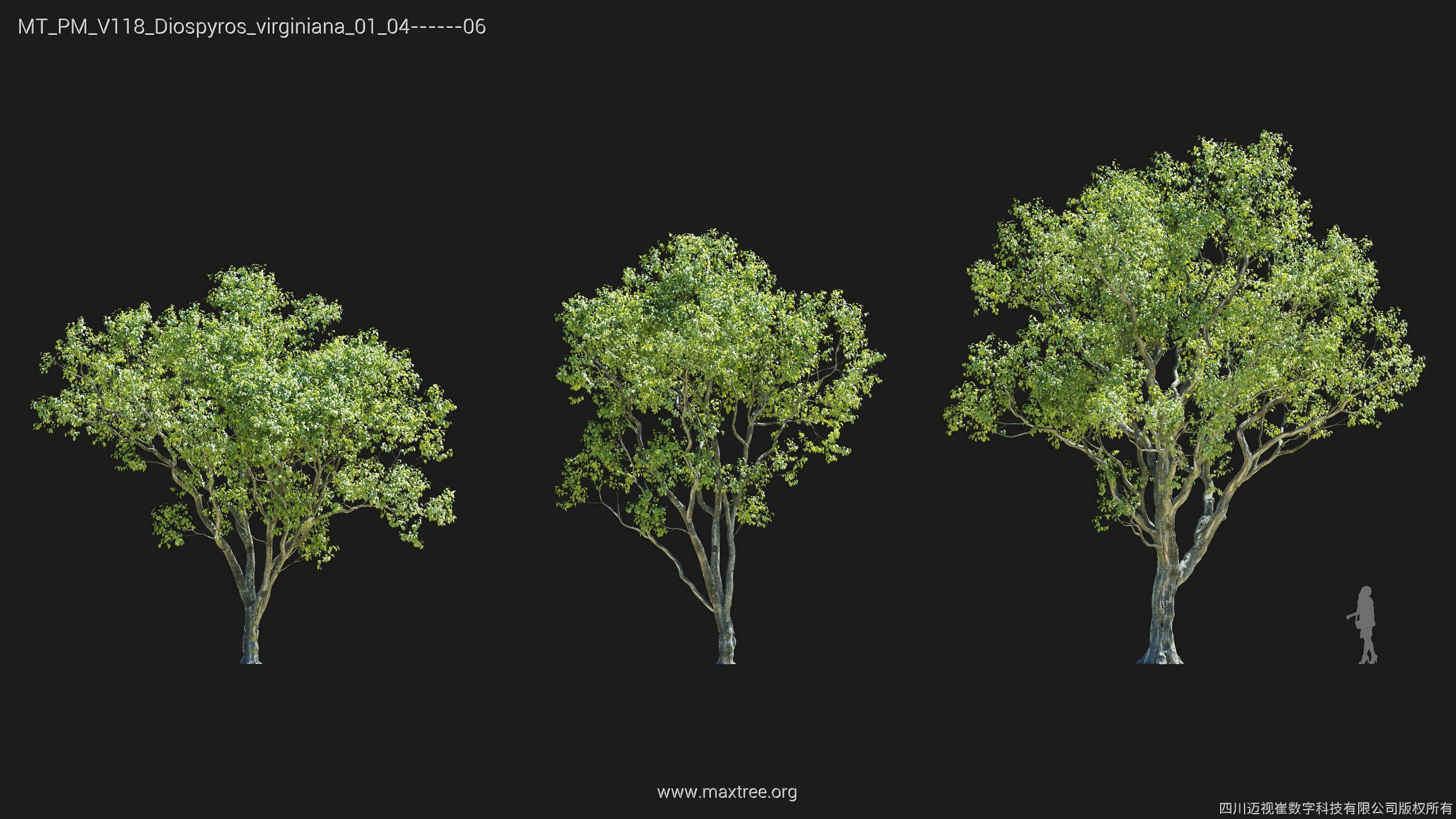 Maxtree Plant Models Vol 118 - Mesh 3D model_10