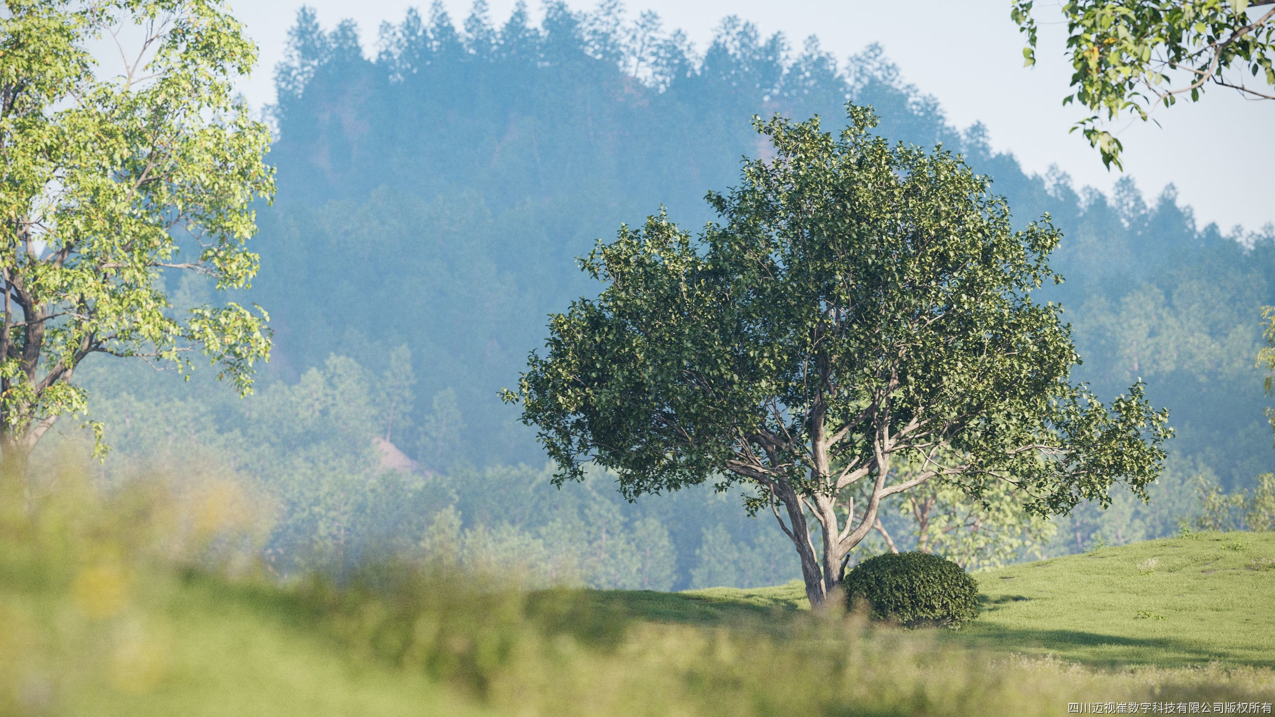 Maxtree Plant Models Vol 118 - Mesh 3D model_3