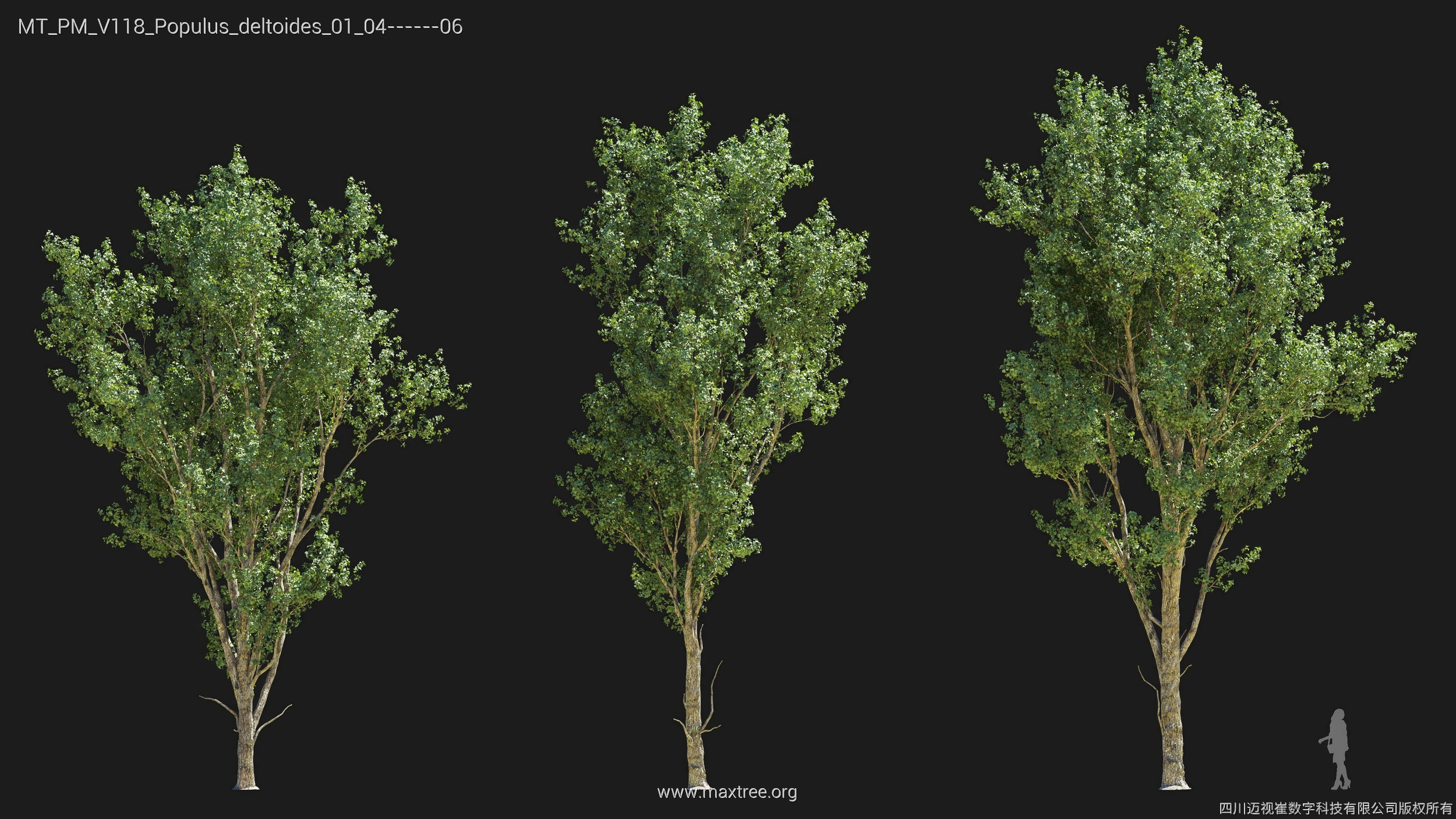 Maxtree Plant Models Vol 118 - Mesh 3D model_22
