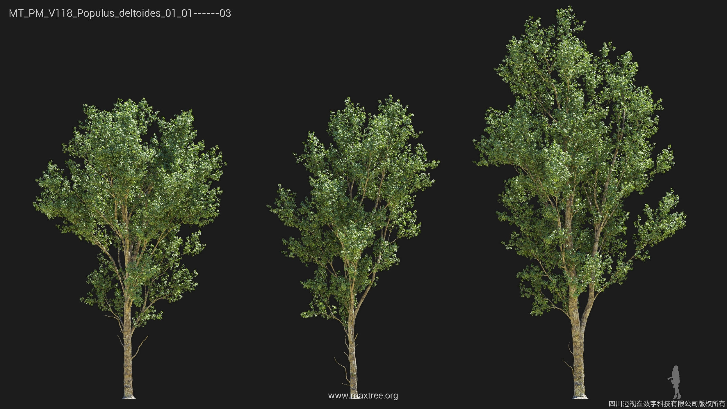 Maxtree Plant Models Vol 118 - Mesh 3D model_21