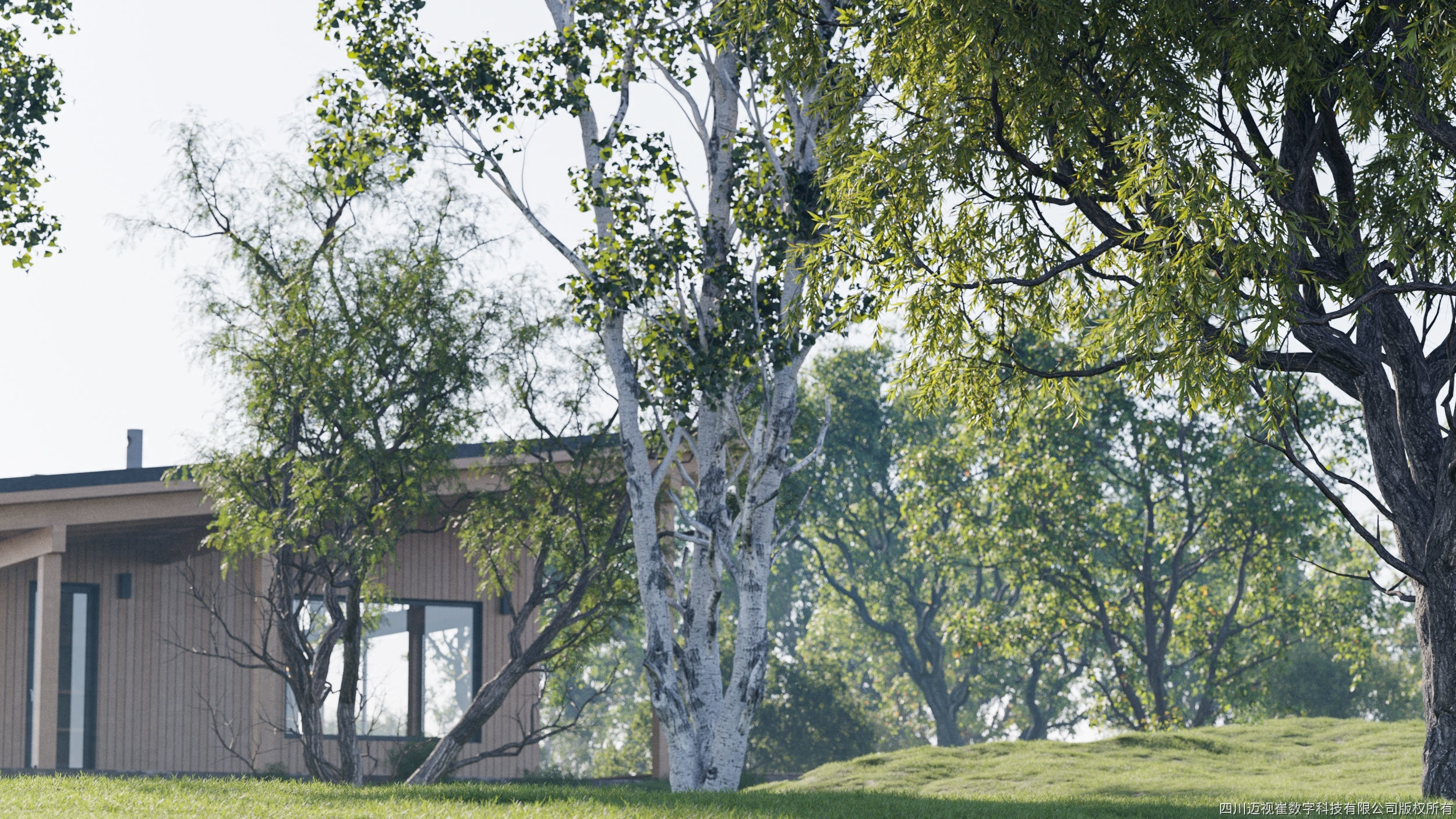 Maxtree Plant Models Vol 118 - Mesh 3D model_2