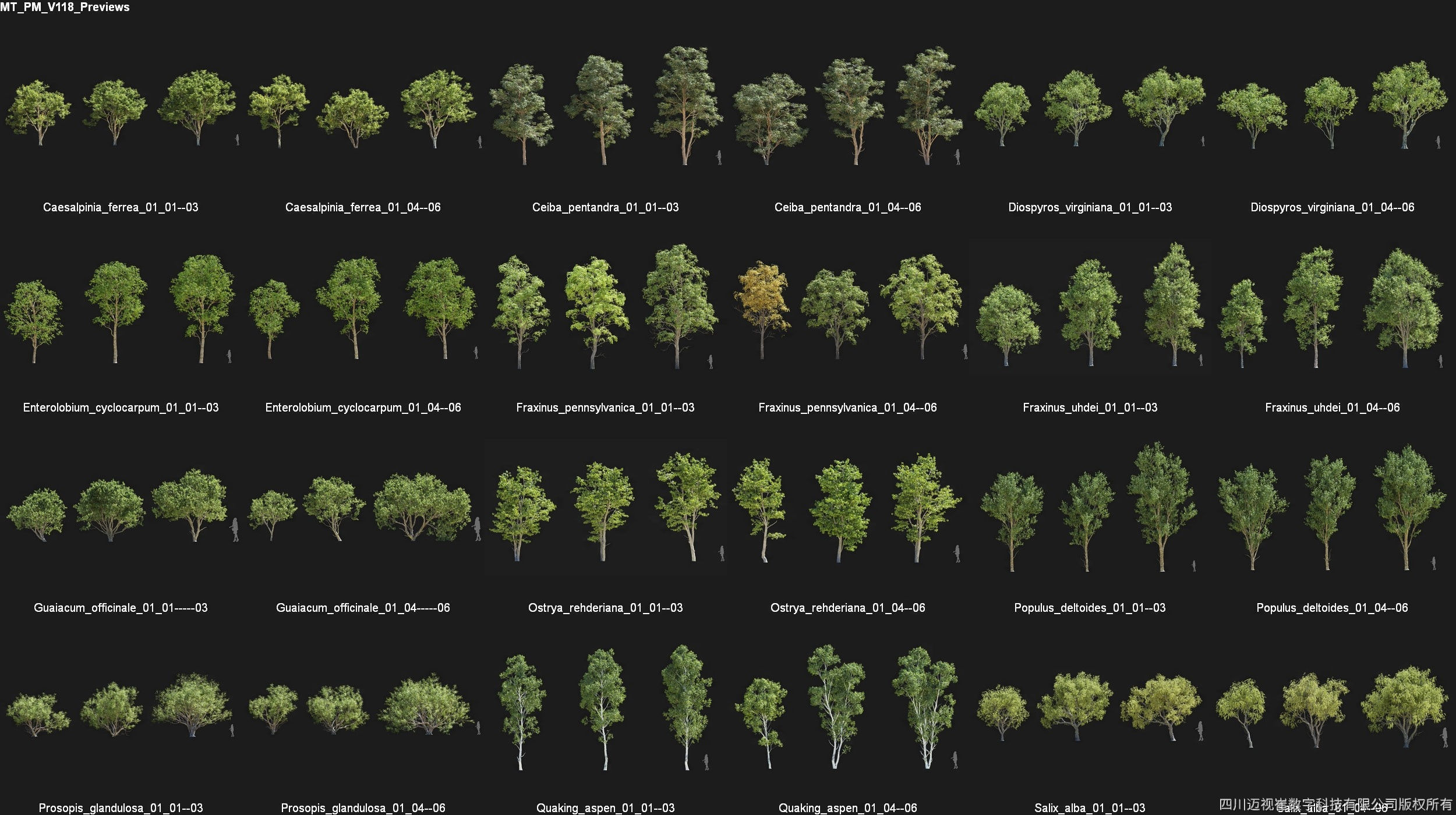 Maxtree Plant Models Vol 118 - Mesh 3D model_4