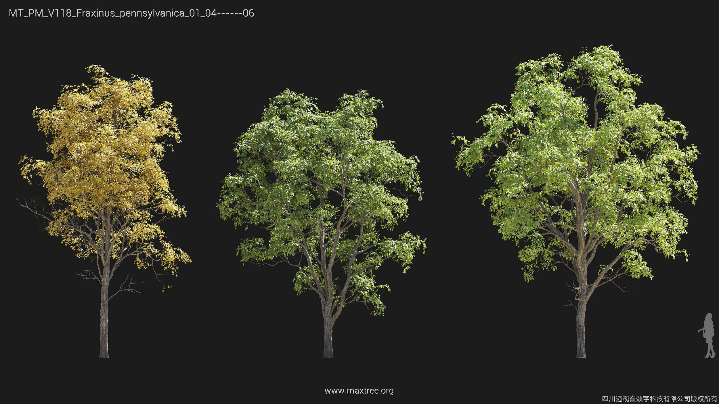 Maxtree Plant Models Vol 118 - Mesh 3D model_14
