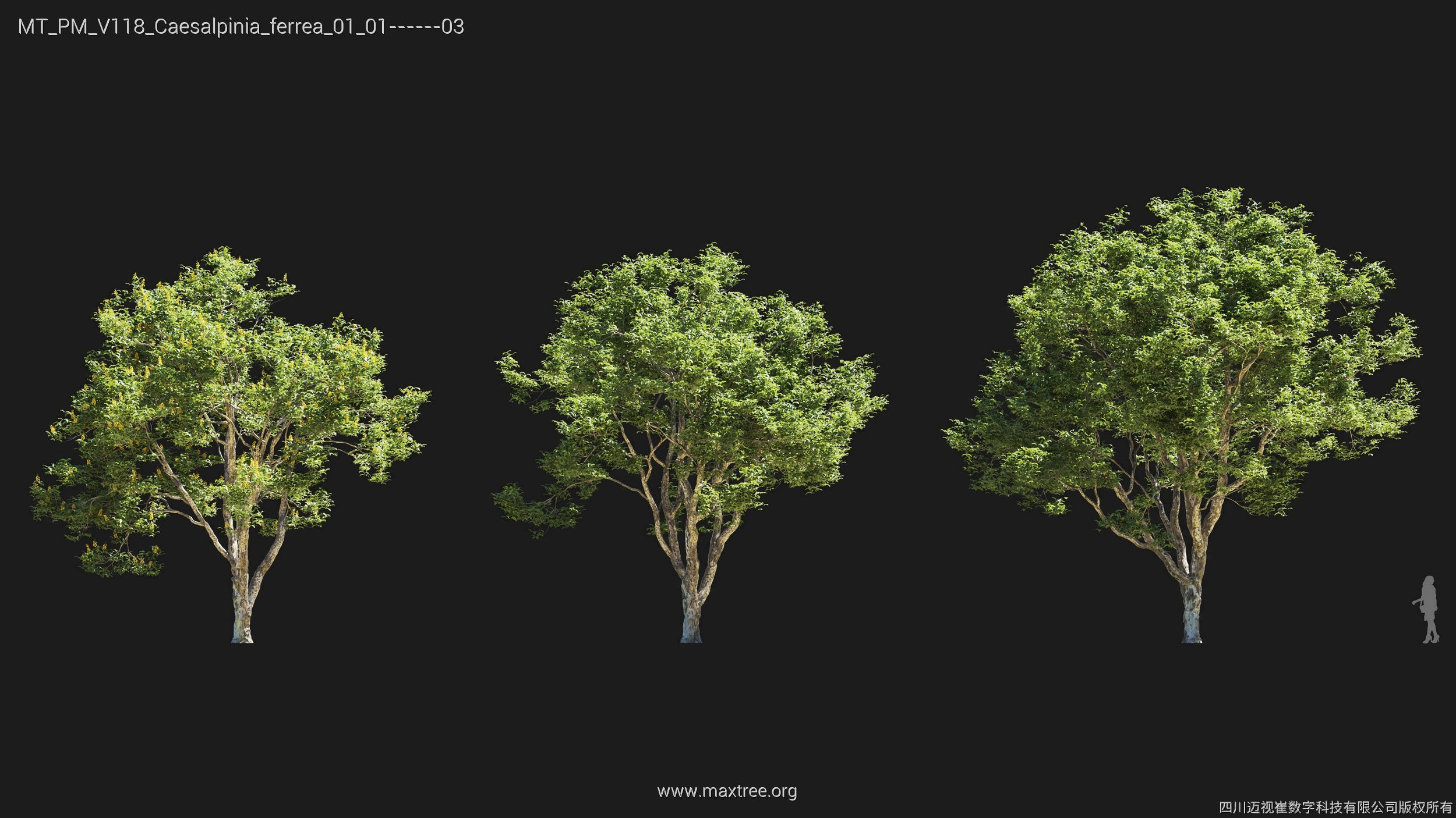 Maxtree Plant Models Vol 118 - Mesh 3D model_5