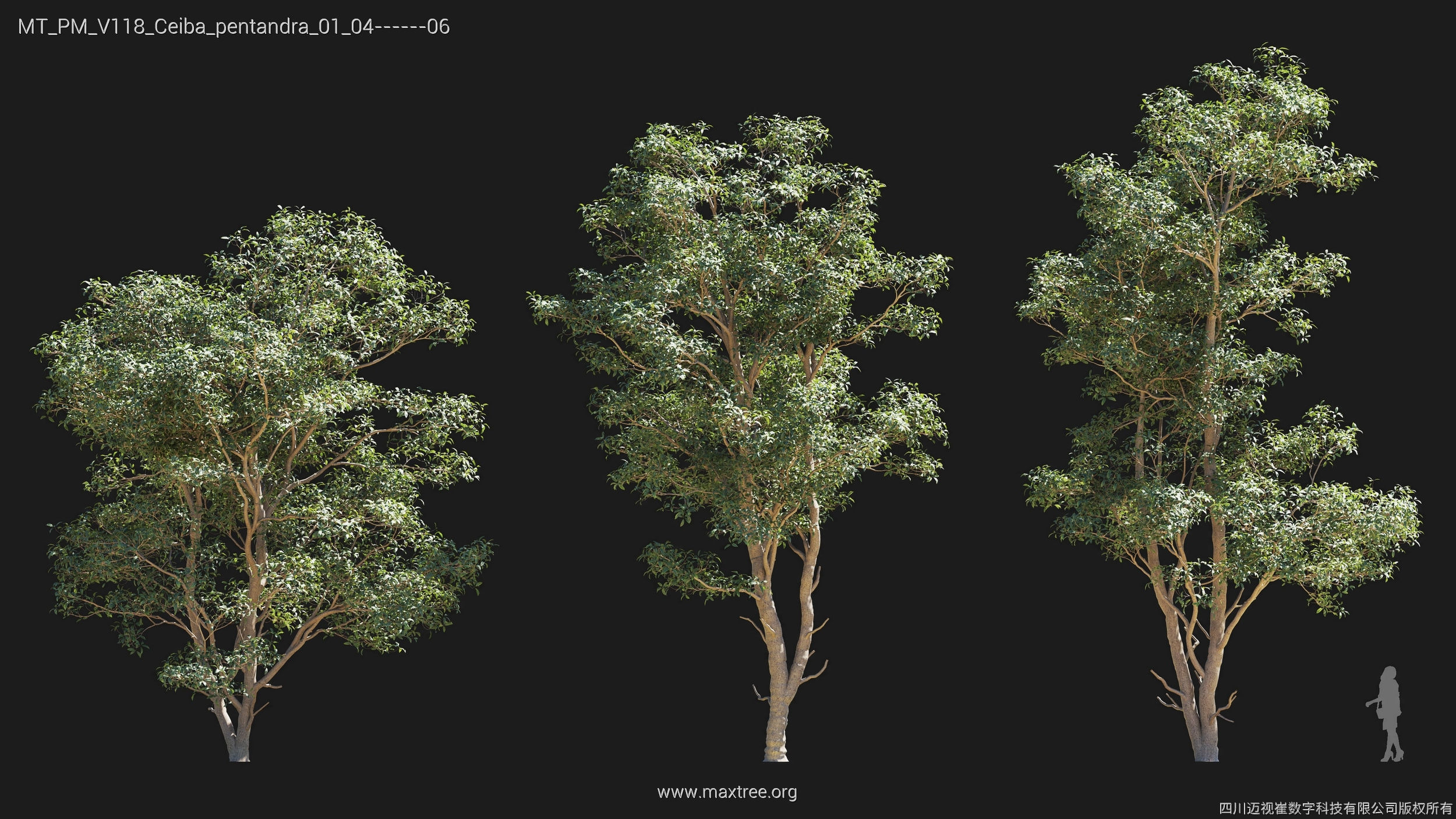 Maxtree Plant Models Vol 118 - Mesh 3D model_8