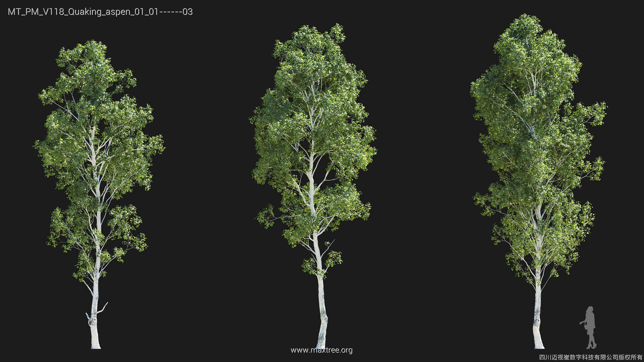 Maxtree Plant Models Vol 118 - Mesh 3D model_25