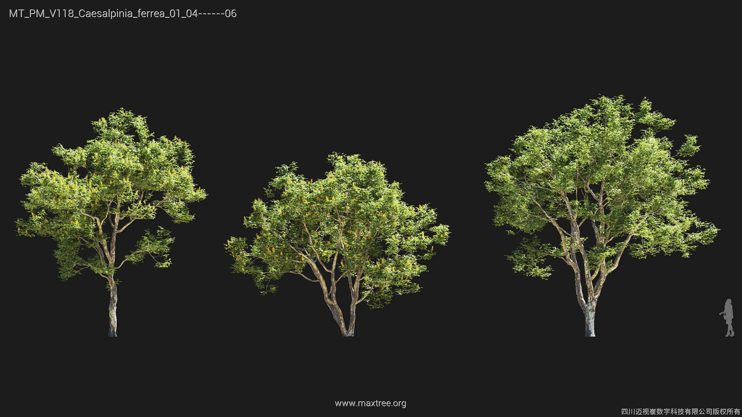 Maxtree Plant Models Vol 118 - Mesh 3D model_6