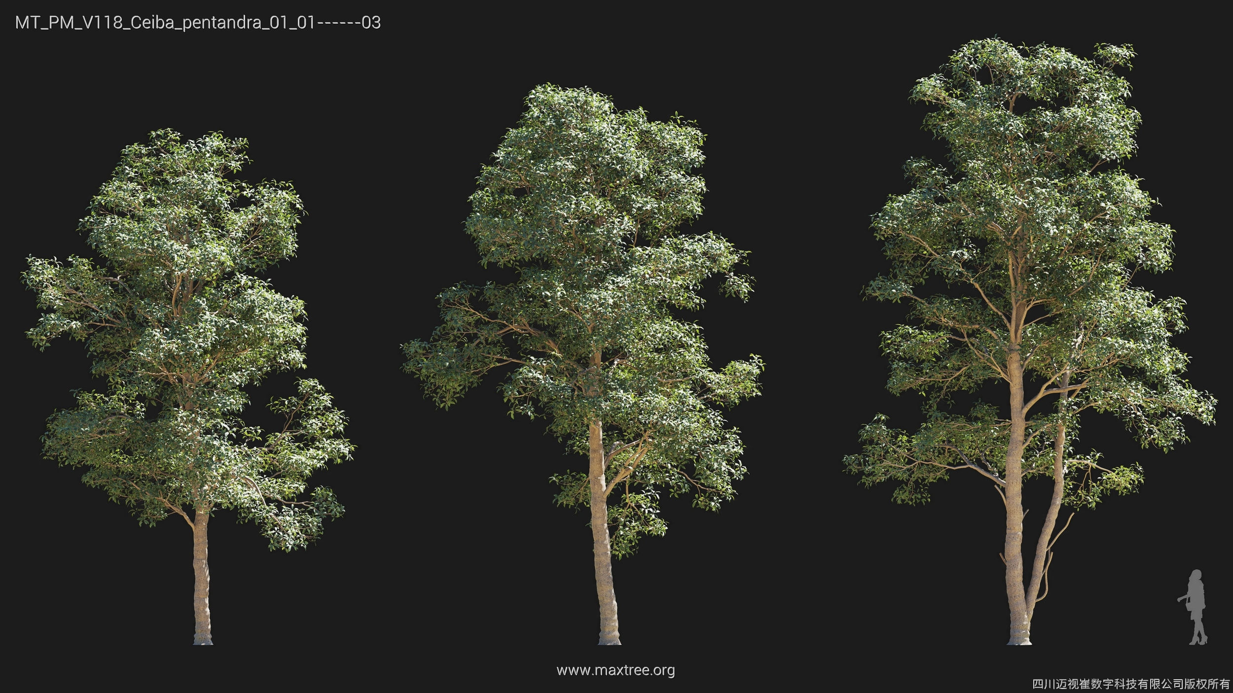 Maxtree Plant Models Vol 118 - Mesh 3D model_7