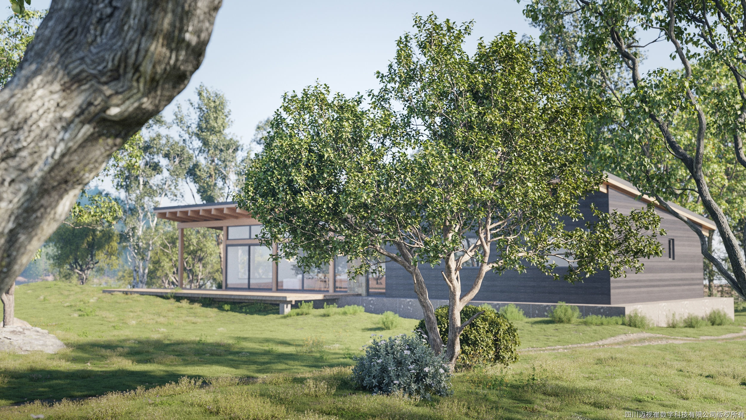 Maxtree Plant Models Vol 118 - Mesh 3D model_1